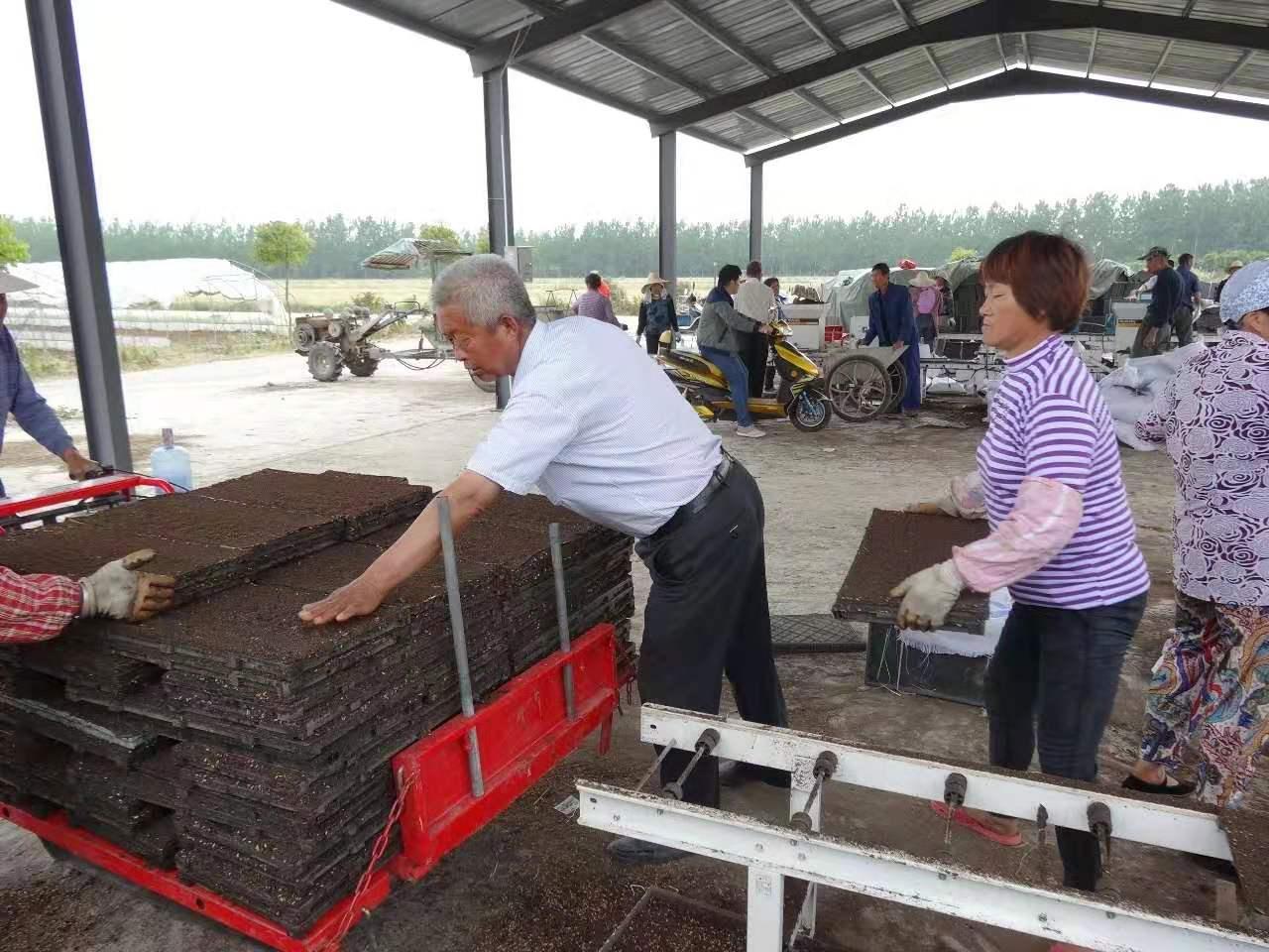 淮安市人大代表梁加祥在合作社忙碌.jpg