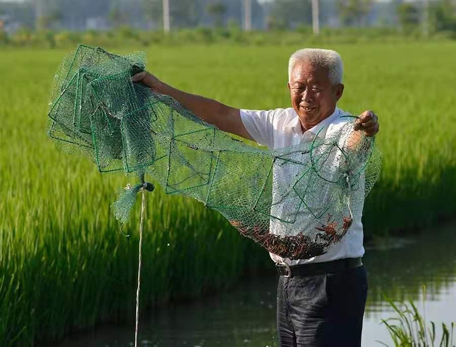 淮安市人大代表梁加祥在田间劳动.jpg
