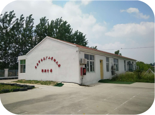 图片11.png