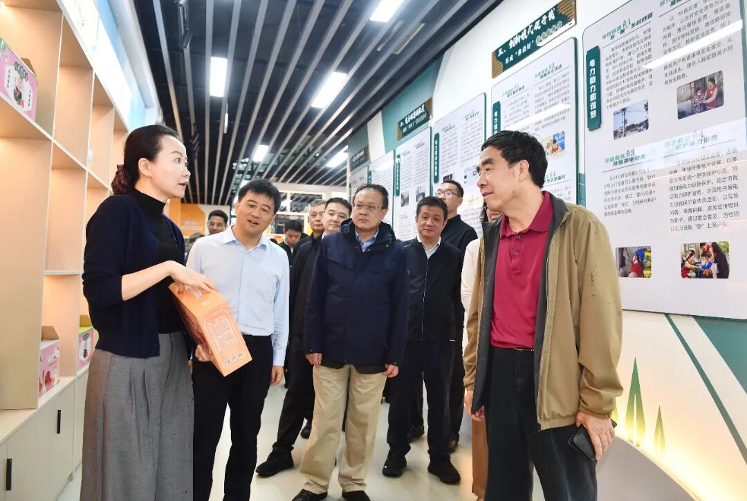 江苏团全国人大代表中直组来淮调研文体旅融合发展工...