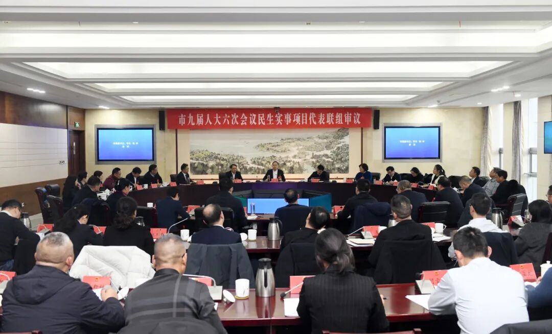 市九届人大六次会议举行民生实事项目代表联组审议