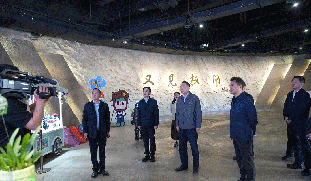 周青调研市文旅集团