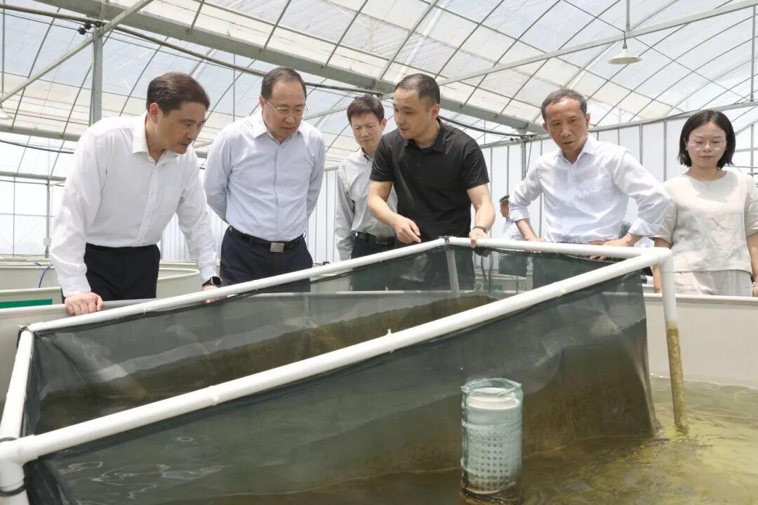 一路研学看共富 满目生机满目新——市人大常委会党...