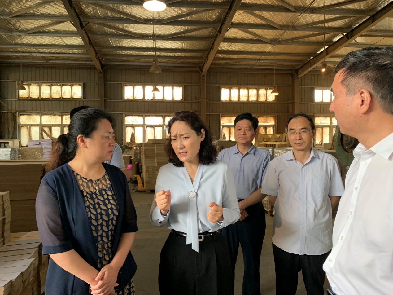 周茂萱一行实地察看了淮阴区三树镇新源嘉包装项目,渔沟镇九龙实业