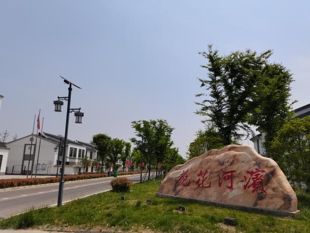 淮安区顺河镇人大同心合力助推乡村振兴